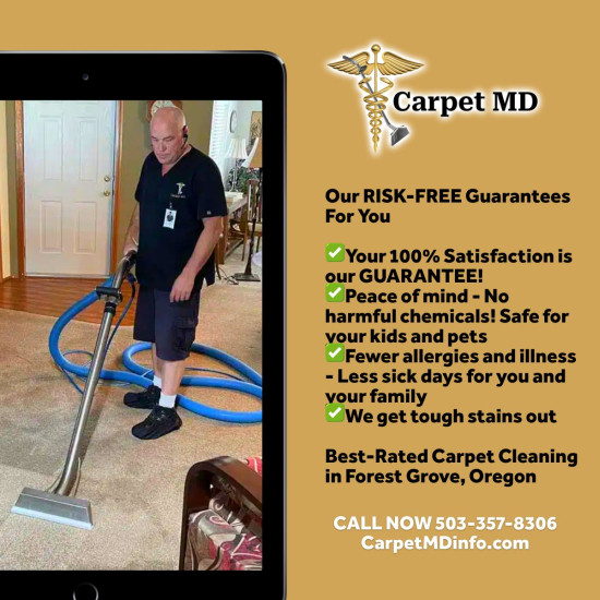 carpet md 