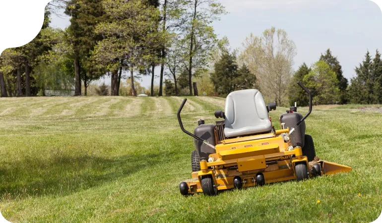 Comprehensive Lawn Care Services for Lethbridge Businesses