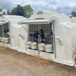 calf rearing calf housing 1.png