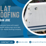 flat roofing companies in San Jose.png