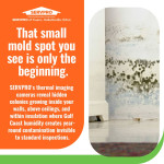 thermal-imaging-hidden-mold-detection-servpro.jpg
