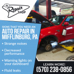 The Repair Shop 1.jpg