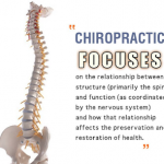 chiropractors omaha.png
