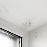 preventmold.jpg