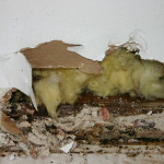 how to tell if drywall is water damaged
