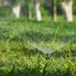 What Components Make Up a Smart Irrigation System for Sprinkler Systems in Raleigh.jpg