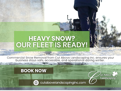 commercial snow removal
