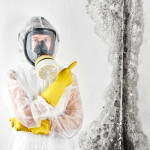 mold-toxicity-orange-ca-mold-fix.jpg