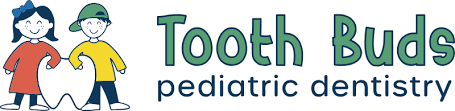 Tooth Buds Pediatric Dentistry