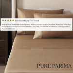 pure parima feb pr 3.png