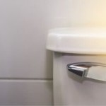 flushhandle.jpg