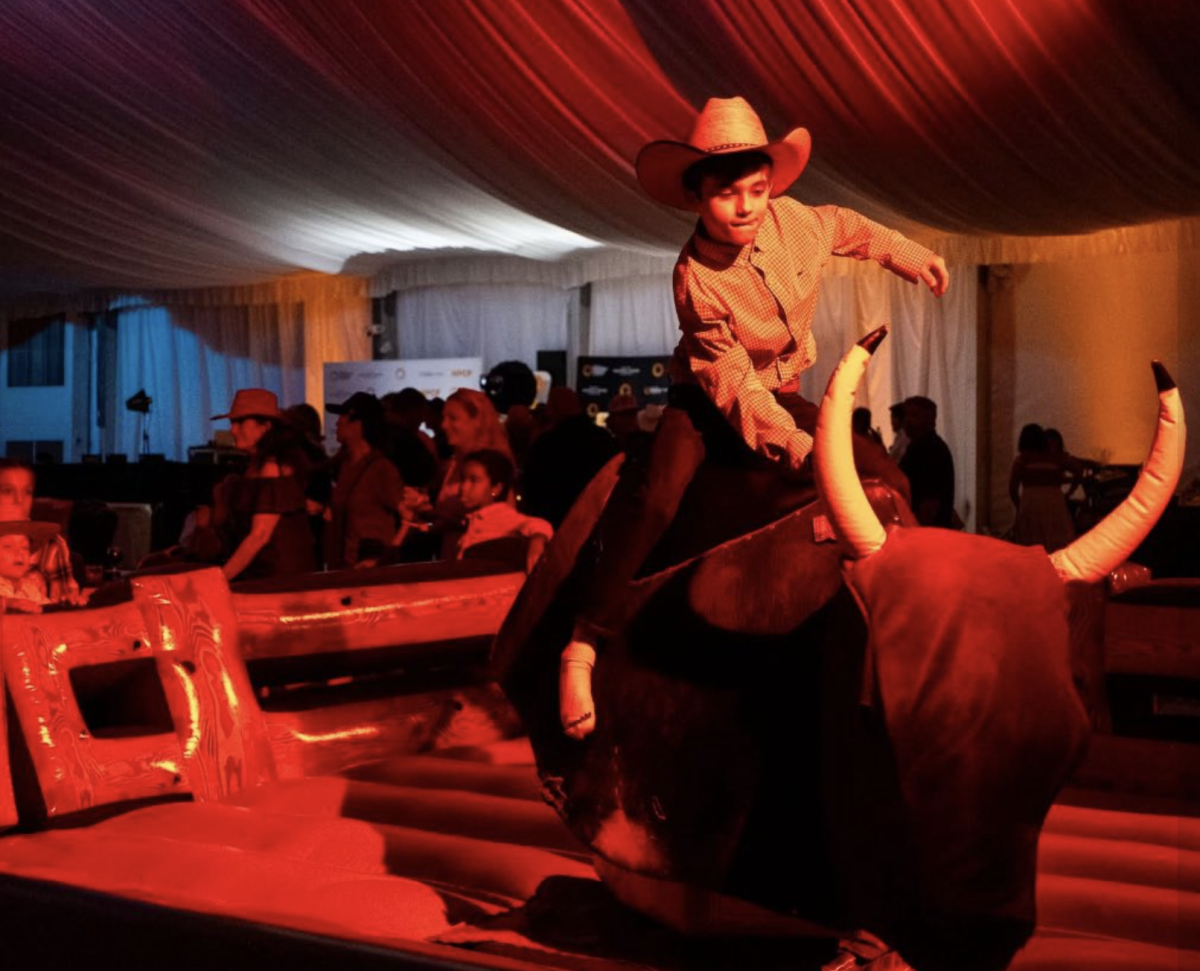 bounce party of tampa