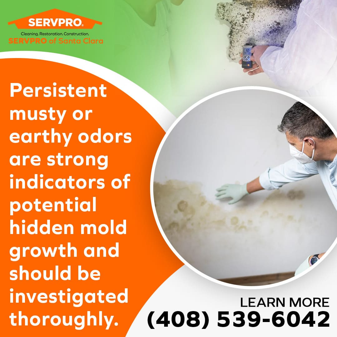 mold growth odor