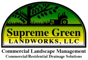 The Ultimate Guide to Lawn Fertilization in Shawnee