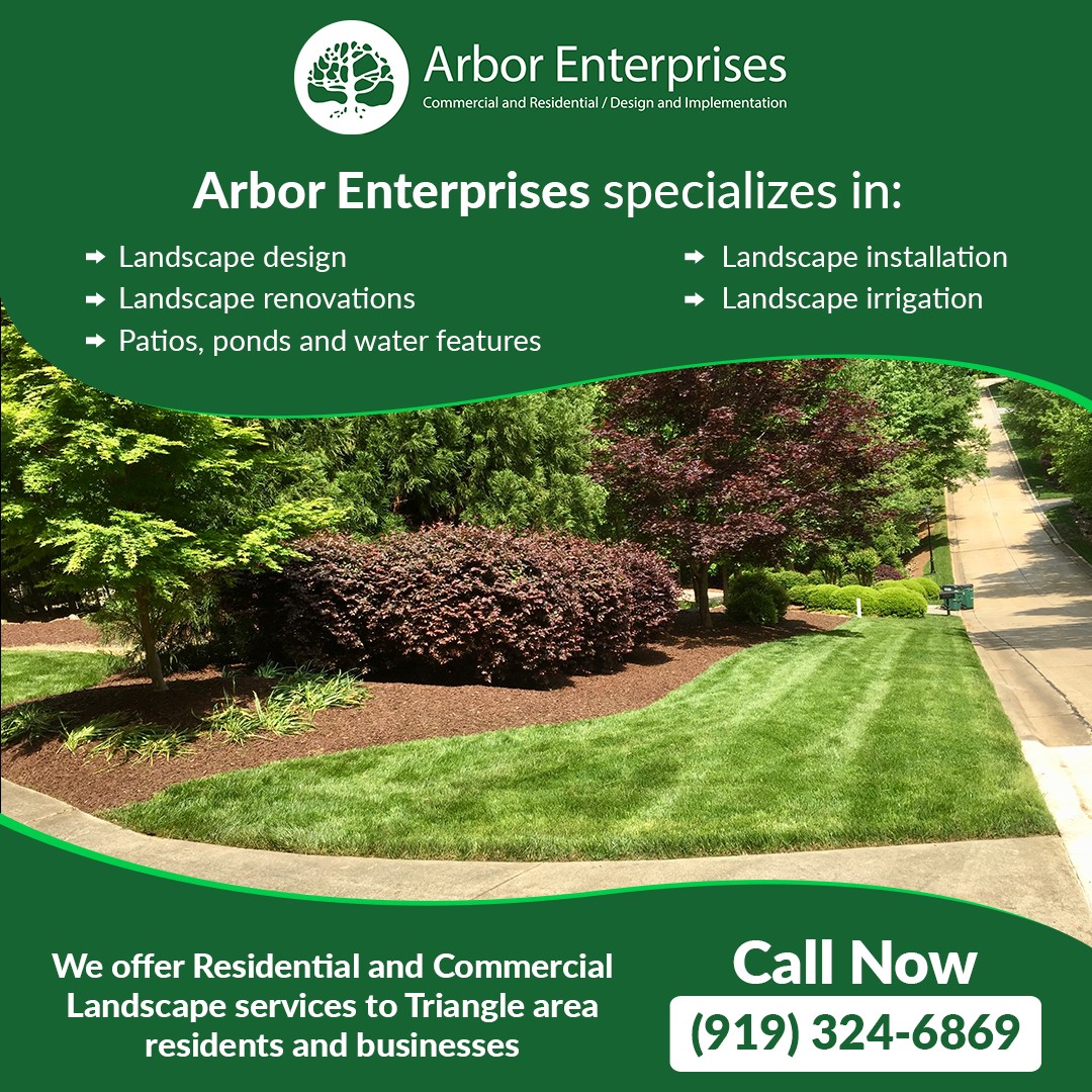 Arbor-Enterprises-Social-Posting-2.jpg