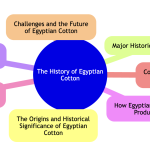 The History of Egyptian Cotton.png