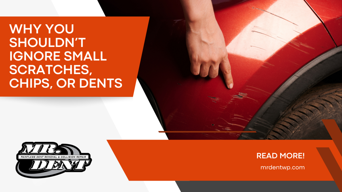 Mr. Dent Educates Drivers on Preventing Paint Damage in Ozark, MO