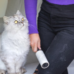 pet-hair-laundry.jpg