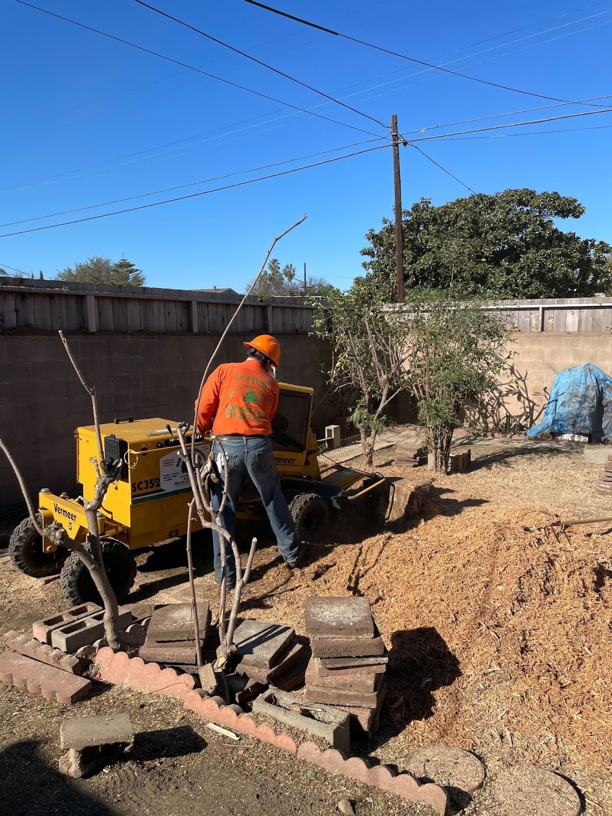 stump grinding in Sylmar
