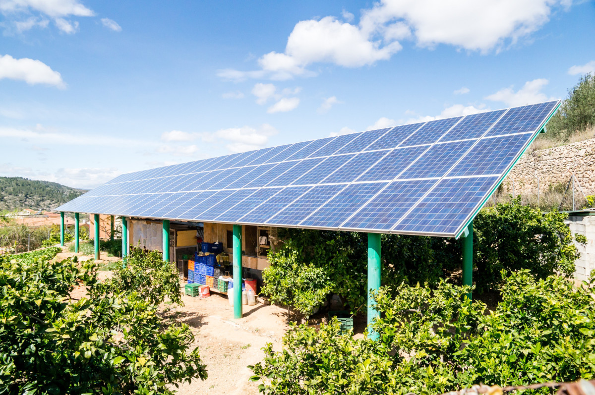 LAN Systems Expands Solar Solutions and Hybrid Inverter Services in Bloemfontein