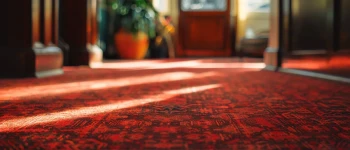carpet