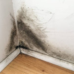 mold-on-wall-1030x773.jpg