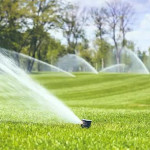Can Expert Sprinkler Valve Repair Really Save Your Humble Lawn and Lower Water Bills.jpg