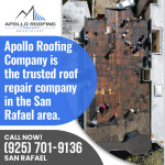 Apollo Roofing Company (San Rafael) 2 (11).jpg