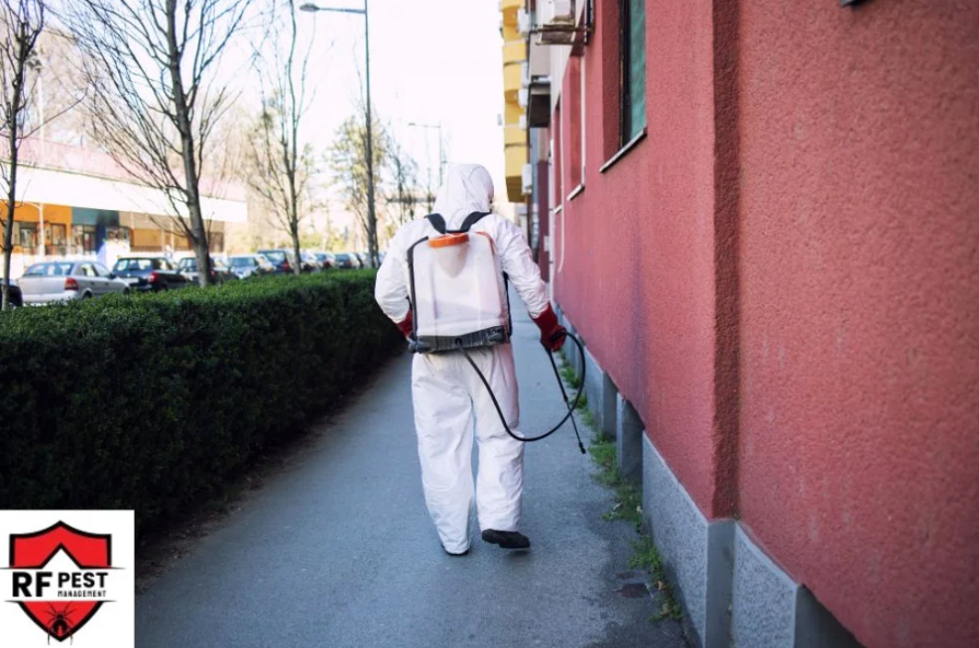 Pest Control Point Cook