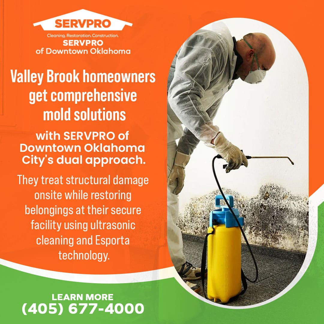 Valley Brook homeowners get comprehensive mold solutions