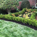 marietta-lawn-care.jpg