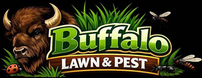 Buffalo Lawn & Pest Services