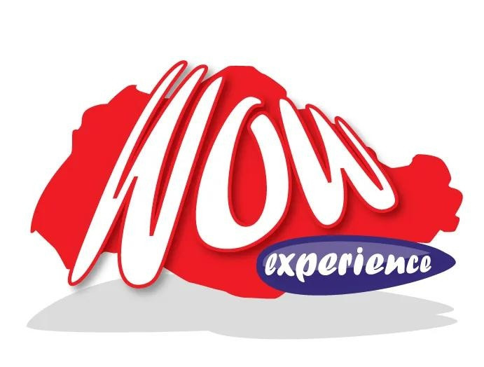 The WOW Experience