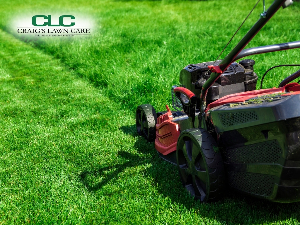 lawn care service