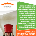 SERVPRO of South Gardena _ Alondra Park 1.png