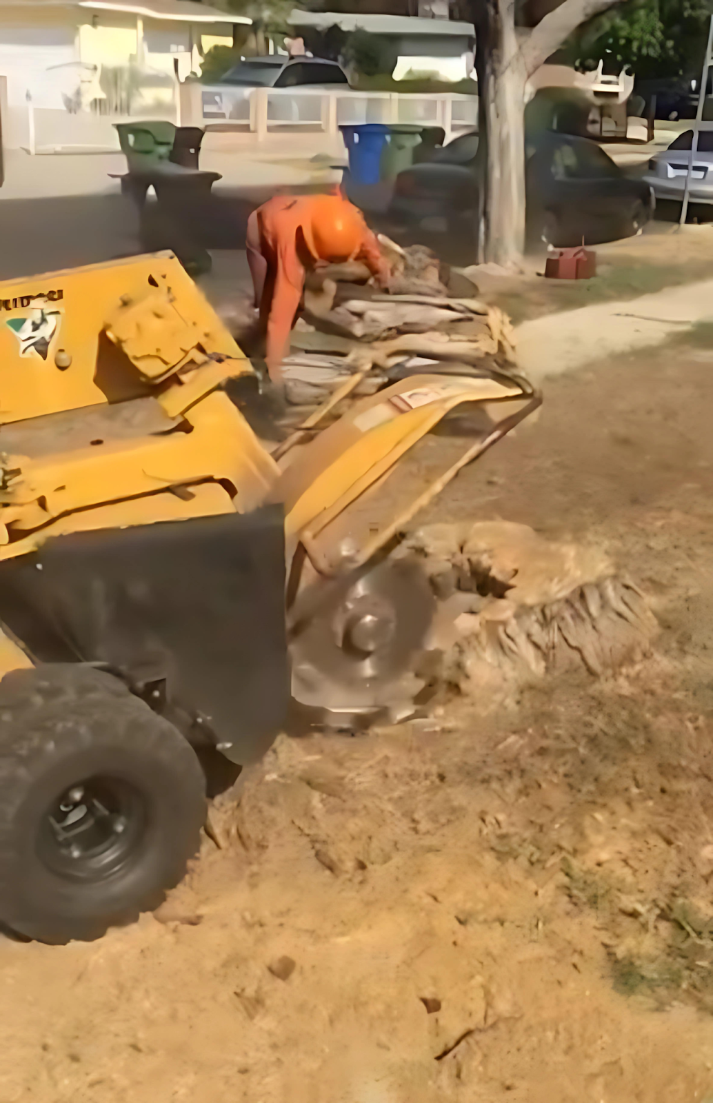 stump grinding in Sylmar