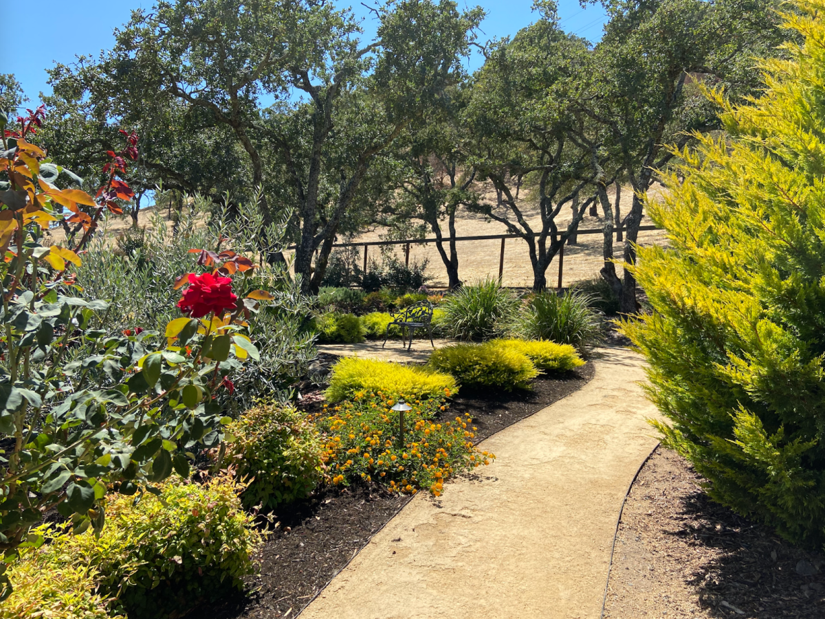 How Can a Landscape Company in Davis, CA Slash Your Utility Costs?