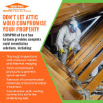 servpro-san-antonio-mold-removal-technician.jpg