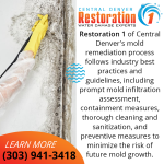 Preventive Measures to Minimize Mold Growh.png