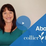 Collier Family Lawyers Cairns - Family Lawyers Cairns - Cairns Family Law.jpg