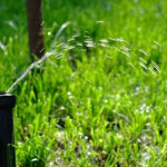 What Happens When Irrigation Systems Are Not Winterized in Indianapolis, IN.jpg