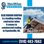 Blue Ribbon Roofing Graphic 2.png