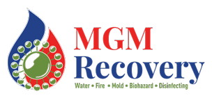 MGM Recovery