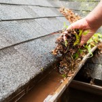 Basement Systems | Grand Rapids, MI | Everdry Grand Rapids