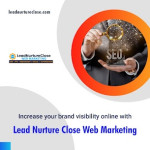 Online Presence for Landscaping Business.jpg