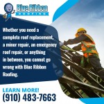 Blue Ribbon Roofing 2.jpg