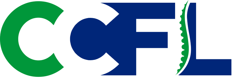 ChiroCare of Florida Injury and Wellness Centers