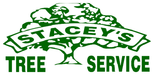 Stacey's Tree Service