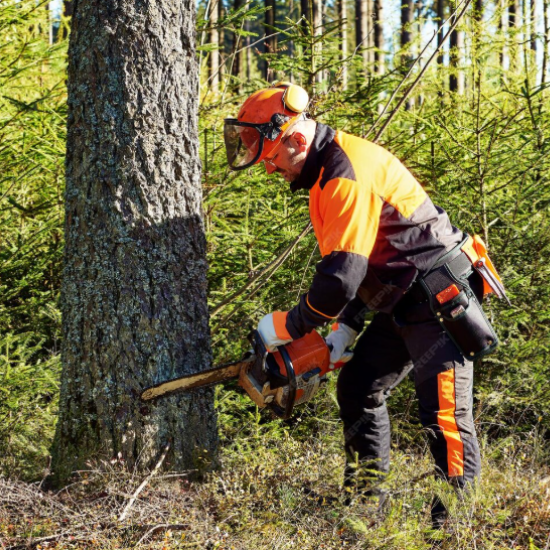 Design Tree Maintenance: Phoenix’s Tree Removal Experts