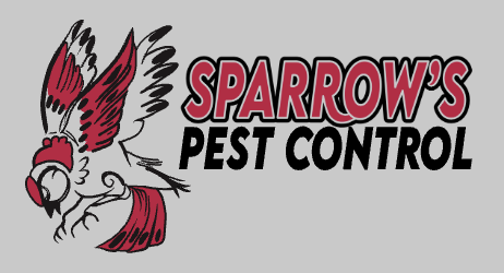 Sparrows Pest Control